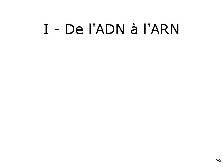 I - De l'ADN à l'ARN 29 