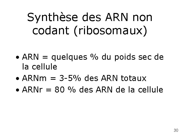 Synthèse des ARN non codant (ribosomaux) • ARN = quelques % du poids sec