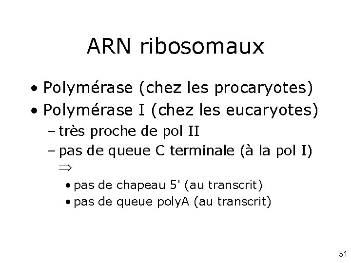 ARN ribosomaux • Polymérase (chez les procaryotes) • Polymérase I (chez les eucaryotes) –