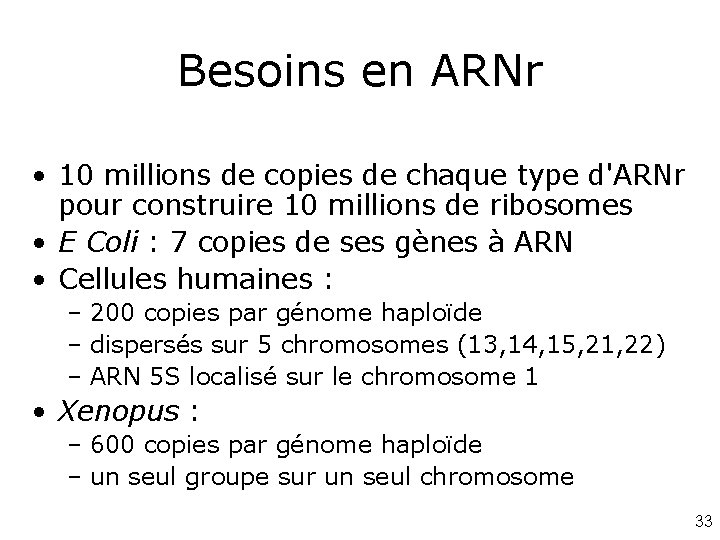 Besoins en ARNr • 10 millions de copies de chaque type d'ARNr pour construire