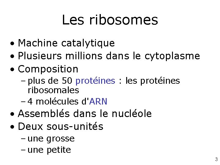 Les ribosomes • Machine catalytique • Plusieurs millions dans le cytoplasme • Composition –