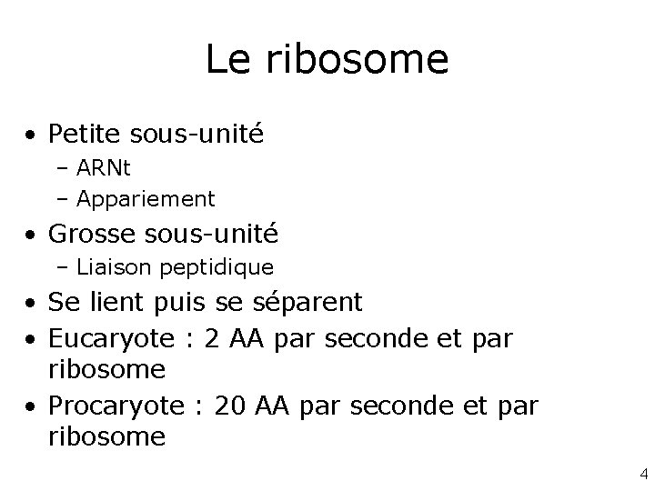 Le ribosome • Petite sous-unité – ARNt – Appariement • Grosse sous-unité – Liaison