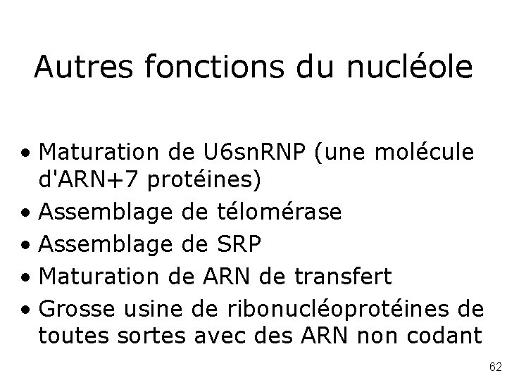 Autres fonctions du nucléole • Maturation de U 6 sn. RNP (une molécule d'ARN+7