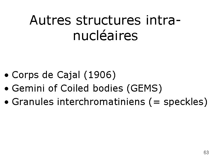 Autres structures intranucléaires • Corps de Cajal (1906) • Gemini of Coiled bodies (GEMS)