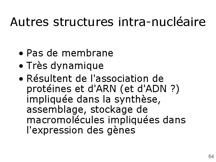 Autres structures intra-nucléaire • Pas de membrane • Très dynamique • Résultent de l'association