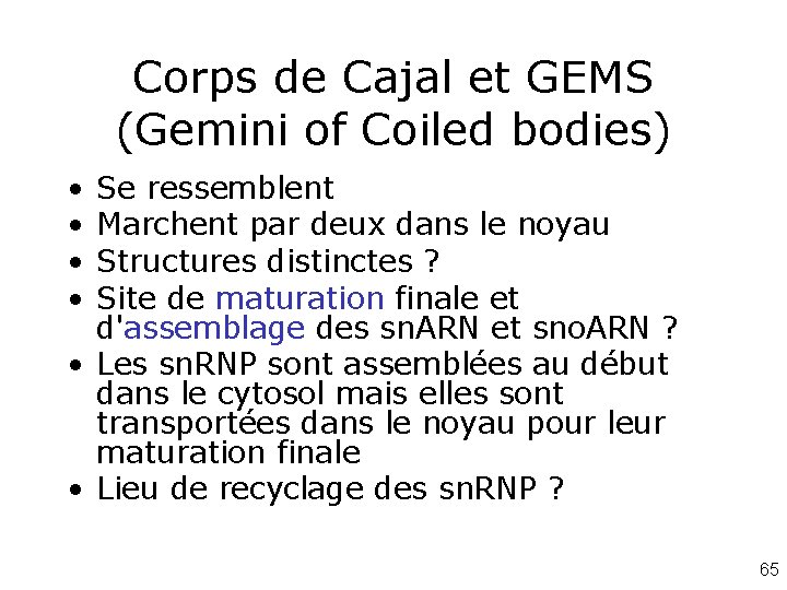 Corps de Cajal et GEMS (Gemini of Coiled bodies) • • Se ressemblent Marchent