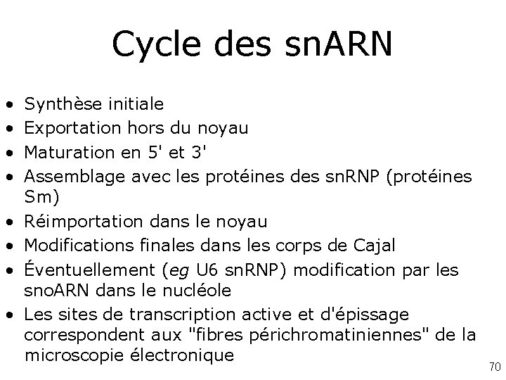 Cycle des sn. ARN • • Synthèse initiale Exportation hors du noyau Maturation en