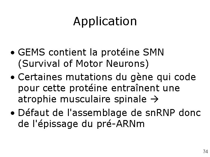 Application • GEMS contient la protéine SMN (Survival of Motor Neurons) • Certaines mutations