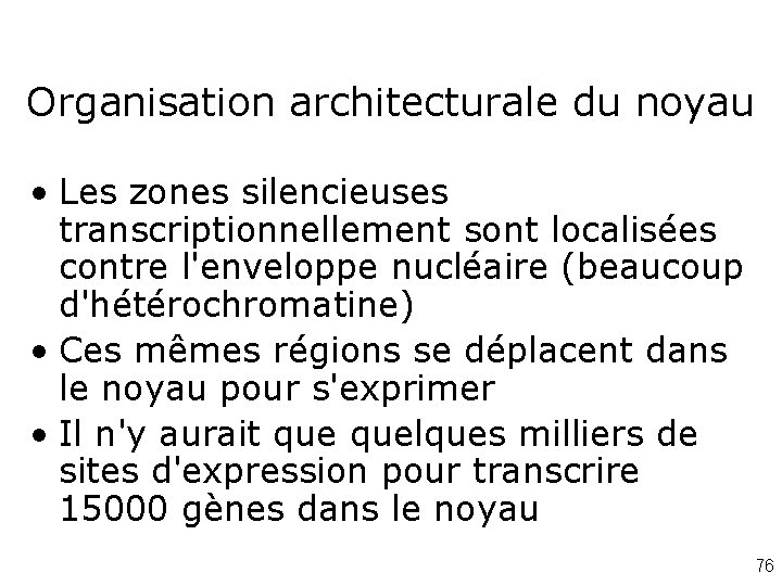 Organisation architecturale du noyau • Les zones silencieuses transcriptionnellement sont localisées contre l'enveloppe nucléaire