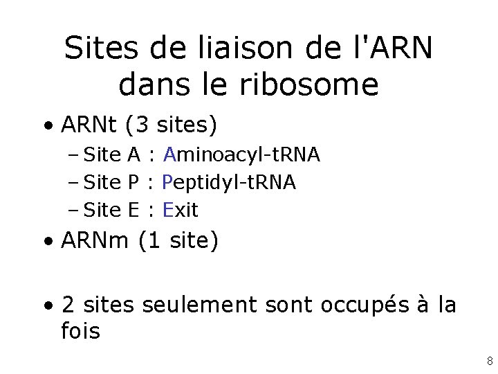 Sites de liaison de l'ARN dans le ribosome • ARNt (3 sites) – Site