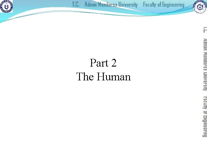 Part 2 The Human 