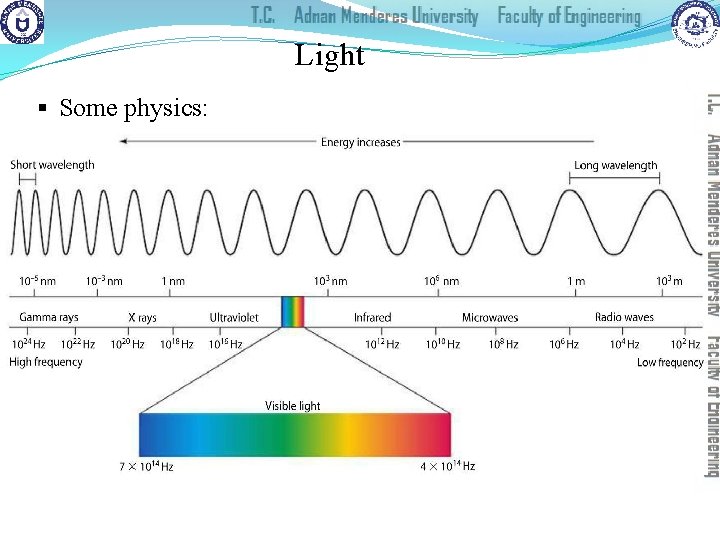 Light § Some physics: 