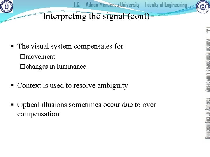 Interpreting the signal (cont) § The visual system compensates for: �movement �changes in luminance.