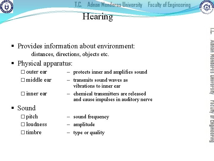 Hearing § Provides information about environment: distances, directions, objects etc. § Physical apparatus: �