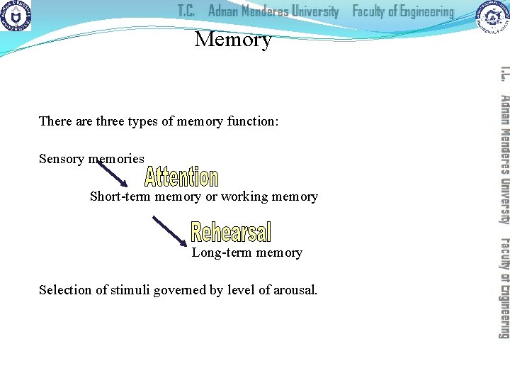 Memory There are three types of memory function: Sensory memories Short-term memory or working