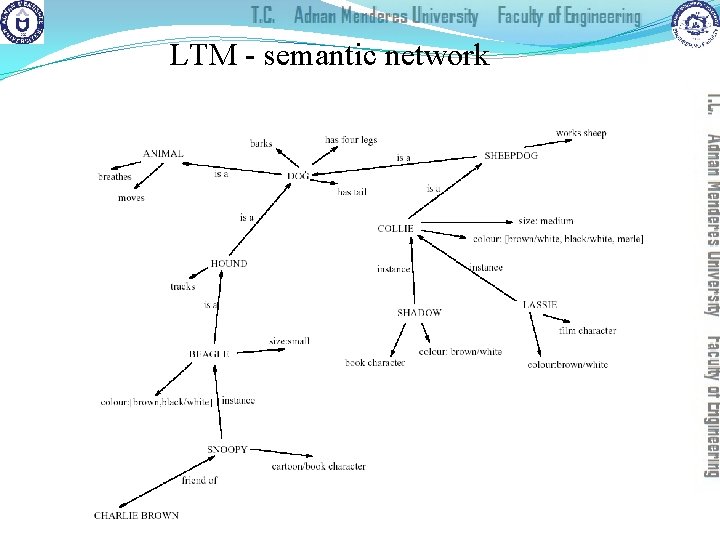 LTM - semantic network 