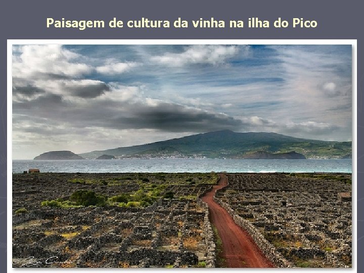 Paisagem de cultura da vinha na ilha do Pico 