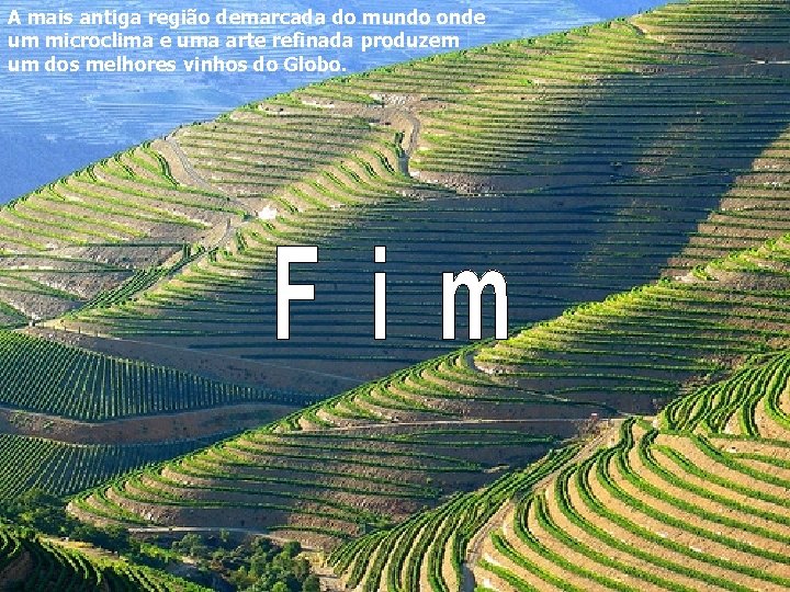 A mais antiga região demarcada do mundo onde um microclima e uma arte refinada