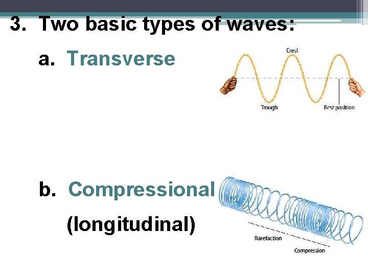 3. Two basic types of waves: a. Transverse b. Compressional (longitudinal) 