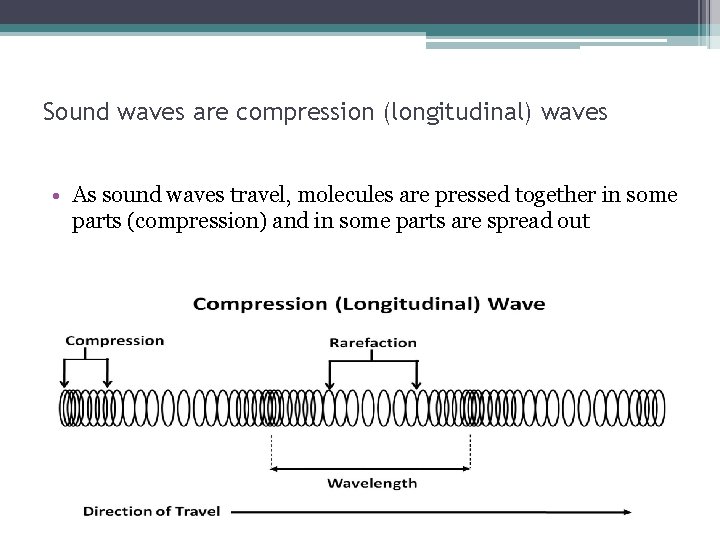 Sound waves are compression (longitudinal) waves • As sound waves travel, molecules are pressed