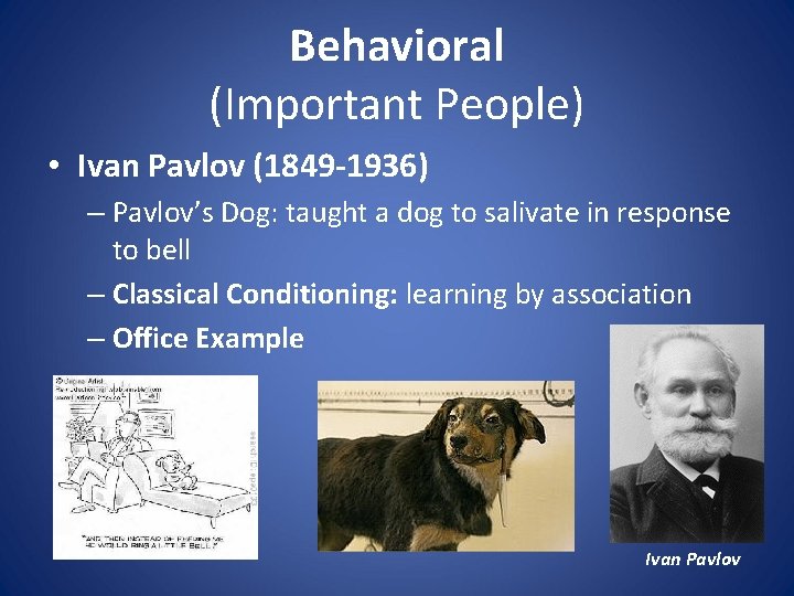 Behavioral (Important People) • Ivan Pavlov (1849 -1936) – Pavlov’s Dog: taught a dog