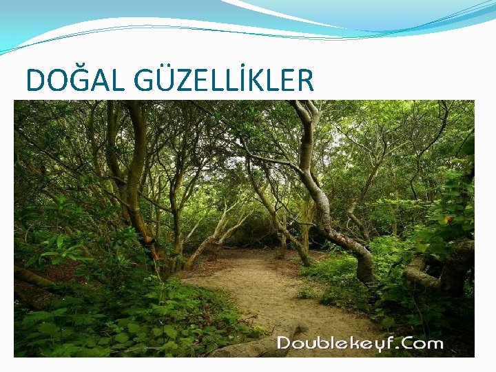 DOĞAL GÜZELLİKLER 