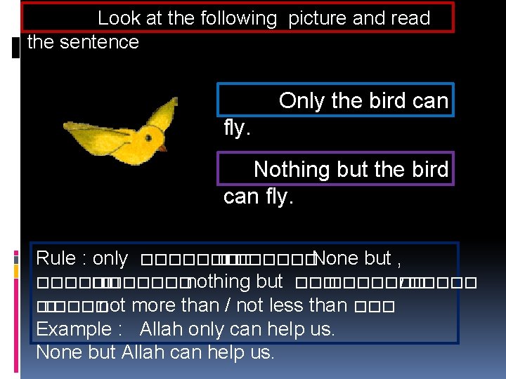 Look at the following picture and read the sentence Only the bird can fly.