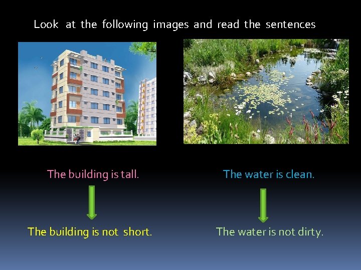Look at the following images and read the sentences The building is tall. The