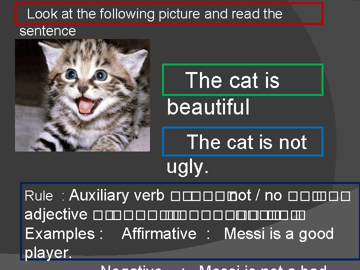 Look at the following picture and read the sentence The cat is beautiful The