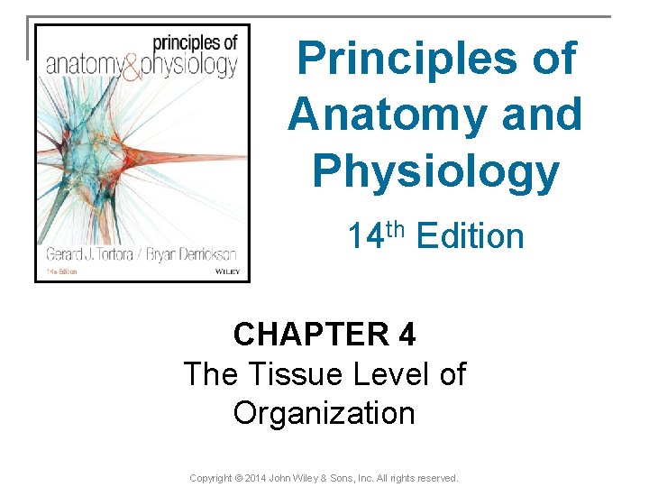 Principles of Anatomy and Physiology 14 th Edition CHAPTER 4 The Tissue Level of