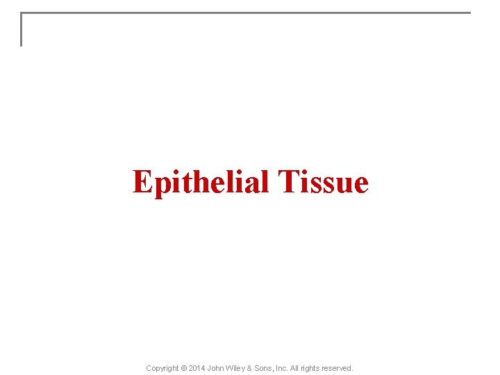 Epithelial Tissue Copyright © 2014 John Wiley & Sons, Inc. All rights reserved. 