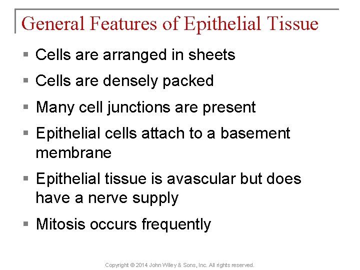 General Features of Epithelial Tissue § Cells are arranged in sheets § Cells are