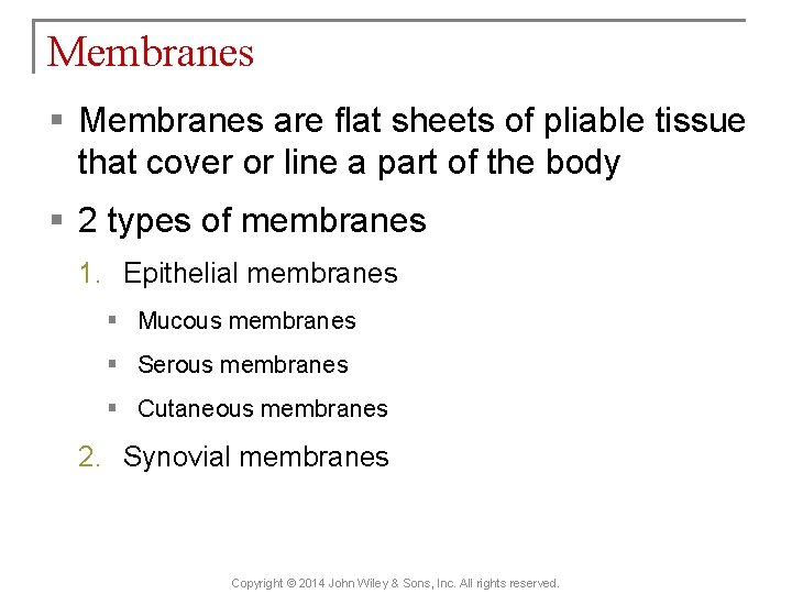 Membranes § Membranes are flat sheets of pliable tissue that cover or line a