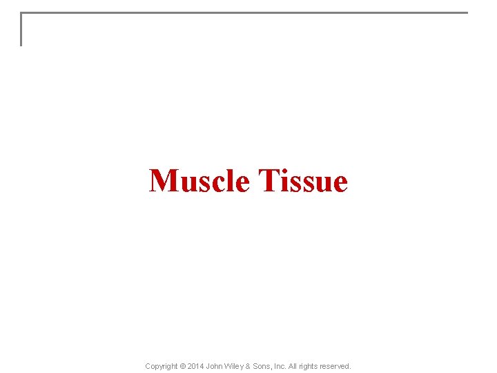 Muscle Tissue Copyright © 2014 John Wiley & Sons, Inc. All rights reserved. 