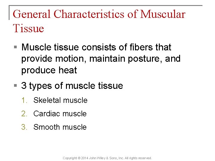 General Characteristics of Muscular Tissue § Muscle tissue consists of fibers that provide motion,