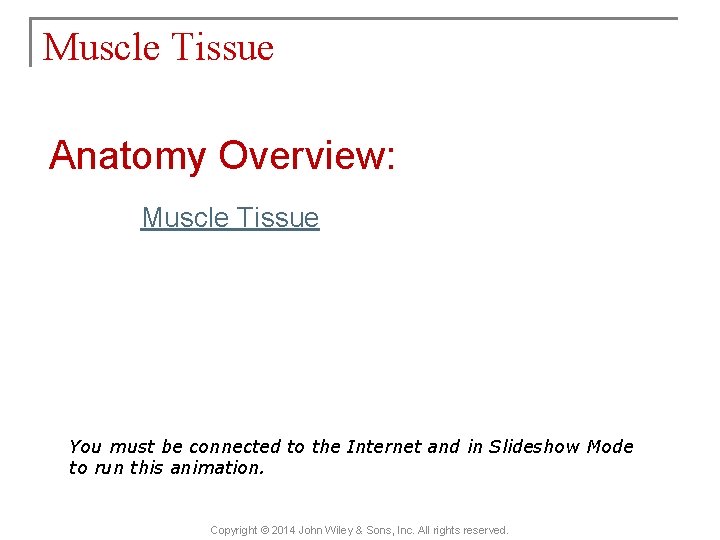 Muscle Tissue Anatomy Overview: Muscle Tissue You must be connected to the Internet and