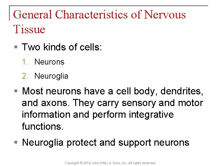 General Characteristics of Nervous Tissue § Two kinds of cells: 1. Neurons 2. Neuroglia