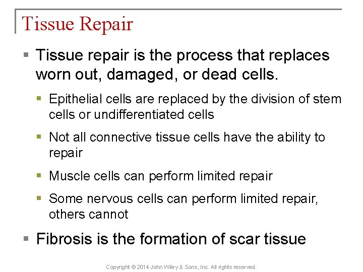 Tissue Repair § Tissue repair is the process that replaces worn out, damaged, or