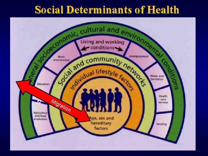 Social Determinants of Health MIG RM N AC ig. Ir ati O on 