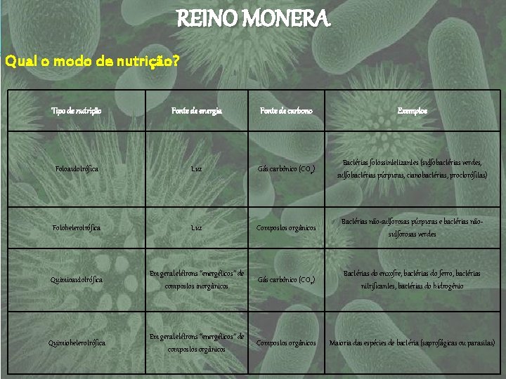 REINO MONERA Qual o modo de nutrição? Tipo de nutrição Fonte de energia Fonte