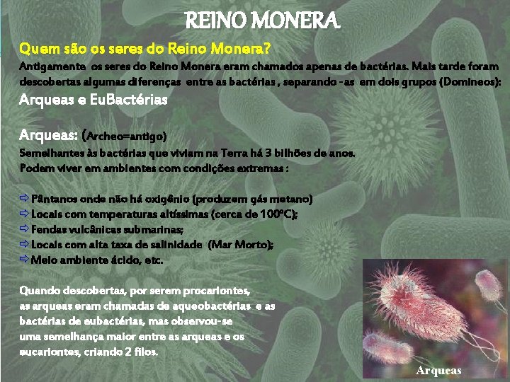 REINO MONERA Quem são os seres do Reino Monera? Antigamente os seres do Reino