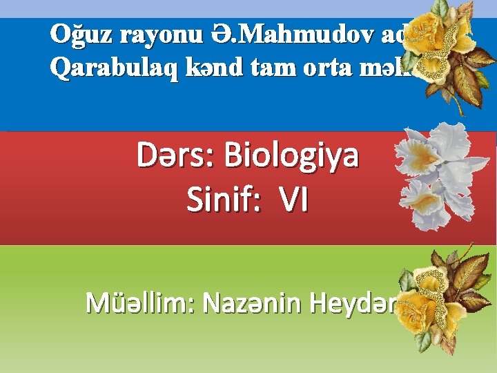 Oğuz rayonu Ə. Mahmudov adına Qarabulaq kənd tam orta məktəbi Dərs: Biologiya Sinif: VI