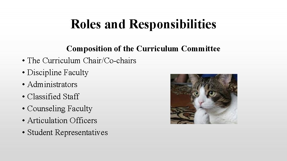 Roles and Responsibilities Composition of the Curriculum Committee • The Curriculum Chair/Co-chairs • Discipline