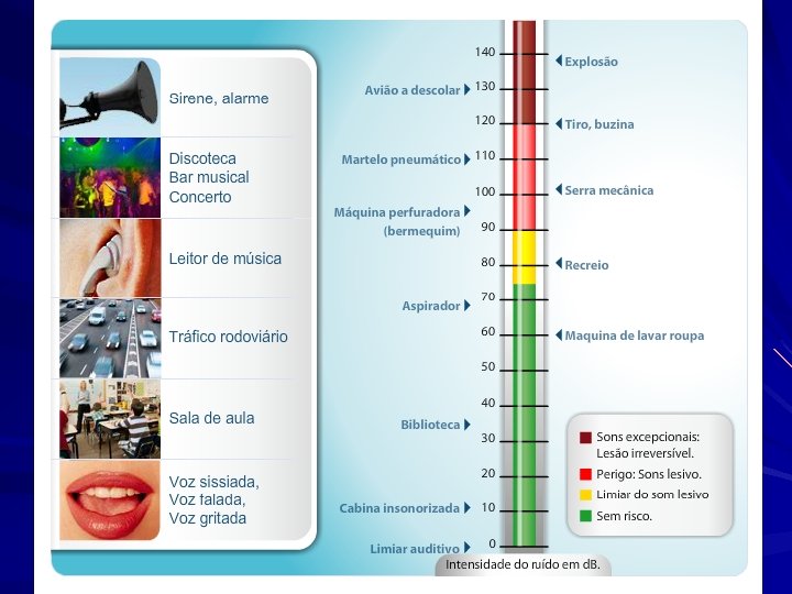 CURIOSIDADES 