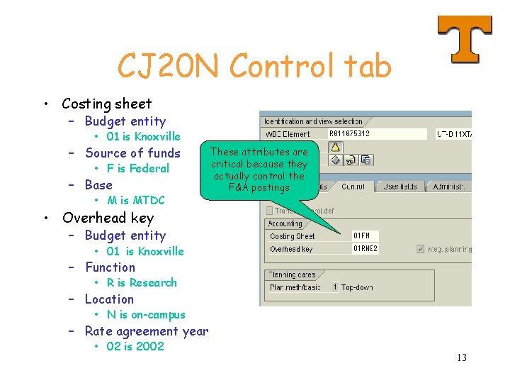 CJ 20 N Control tab • Costing sheet – Budget entity • 01 is