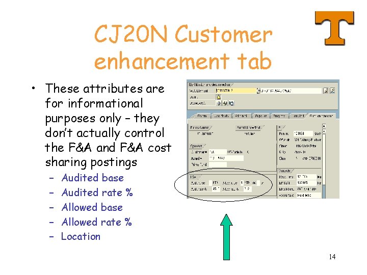 CJ 20 N Customer enhancement tab • These attributes are for informational purposes only
