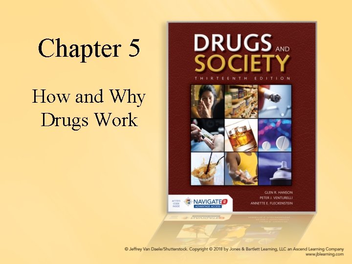 Chapter 5 How and Why Drugs Work 