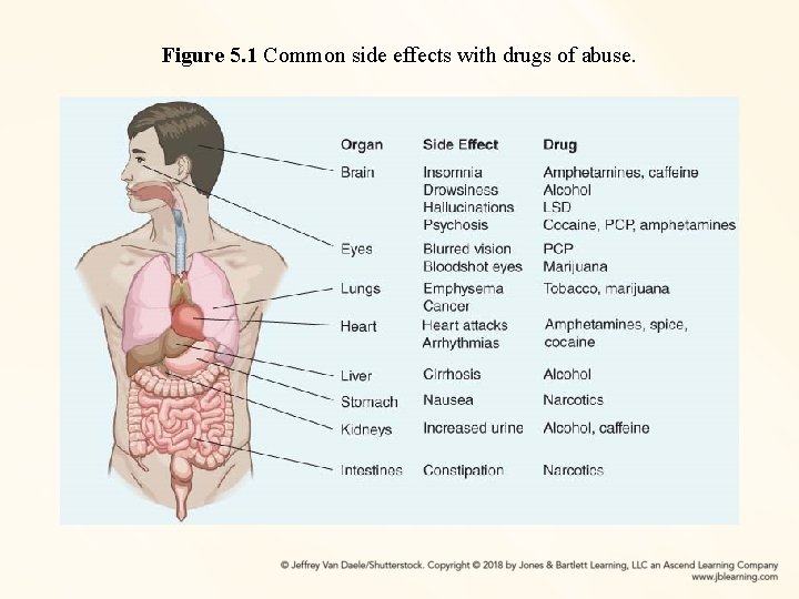 Figure 5. 1 Common side effects with drugs of abuse. 