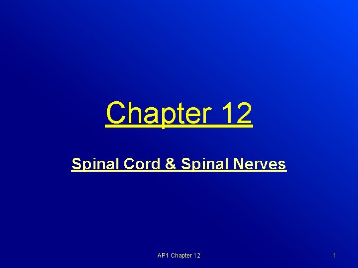 Chapter 12 Spinal Cord & Spinal Nerves AP 1 Chapter 12 1 