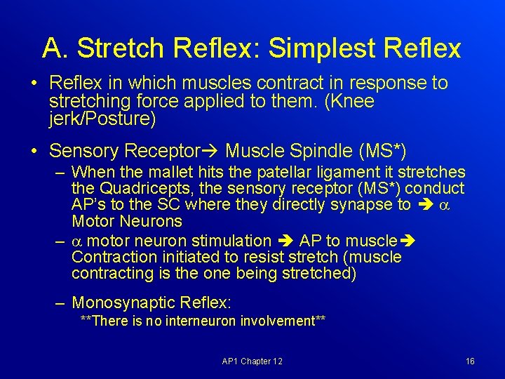 A. Stretch Reflex: Simplest Reflex • Reflex in which muscles contract in response to